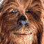 Star Wars Chewbacca